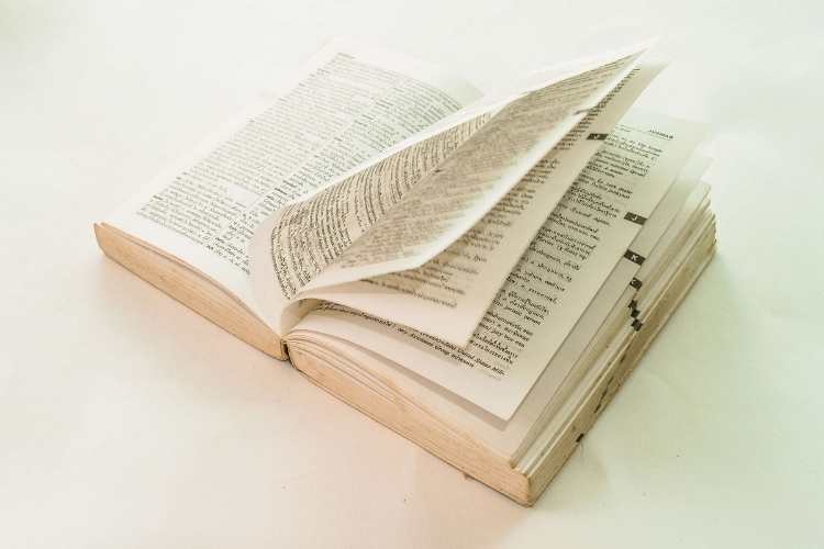 Dictionary Day
