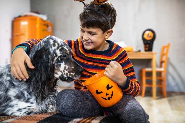 Treat Your Pet Day