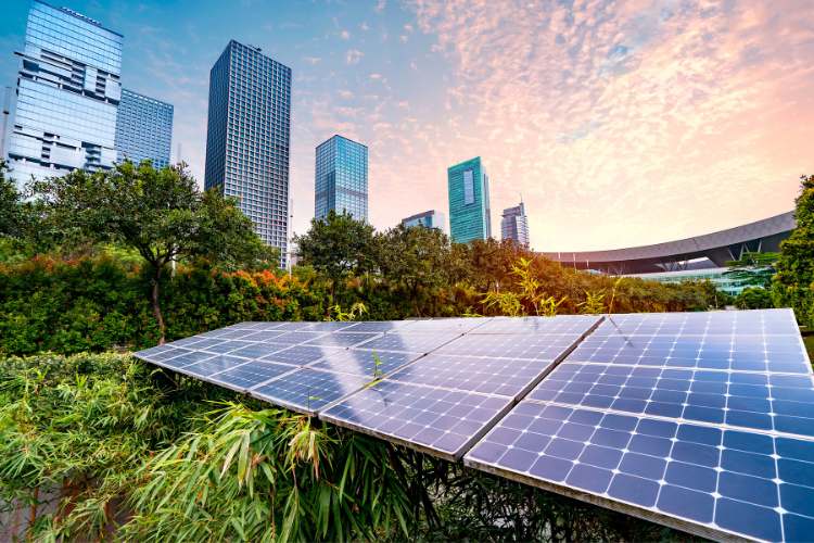Sustainability Day
