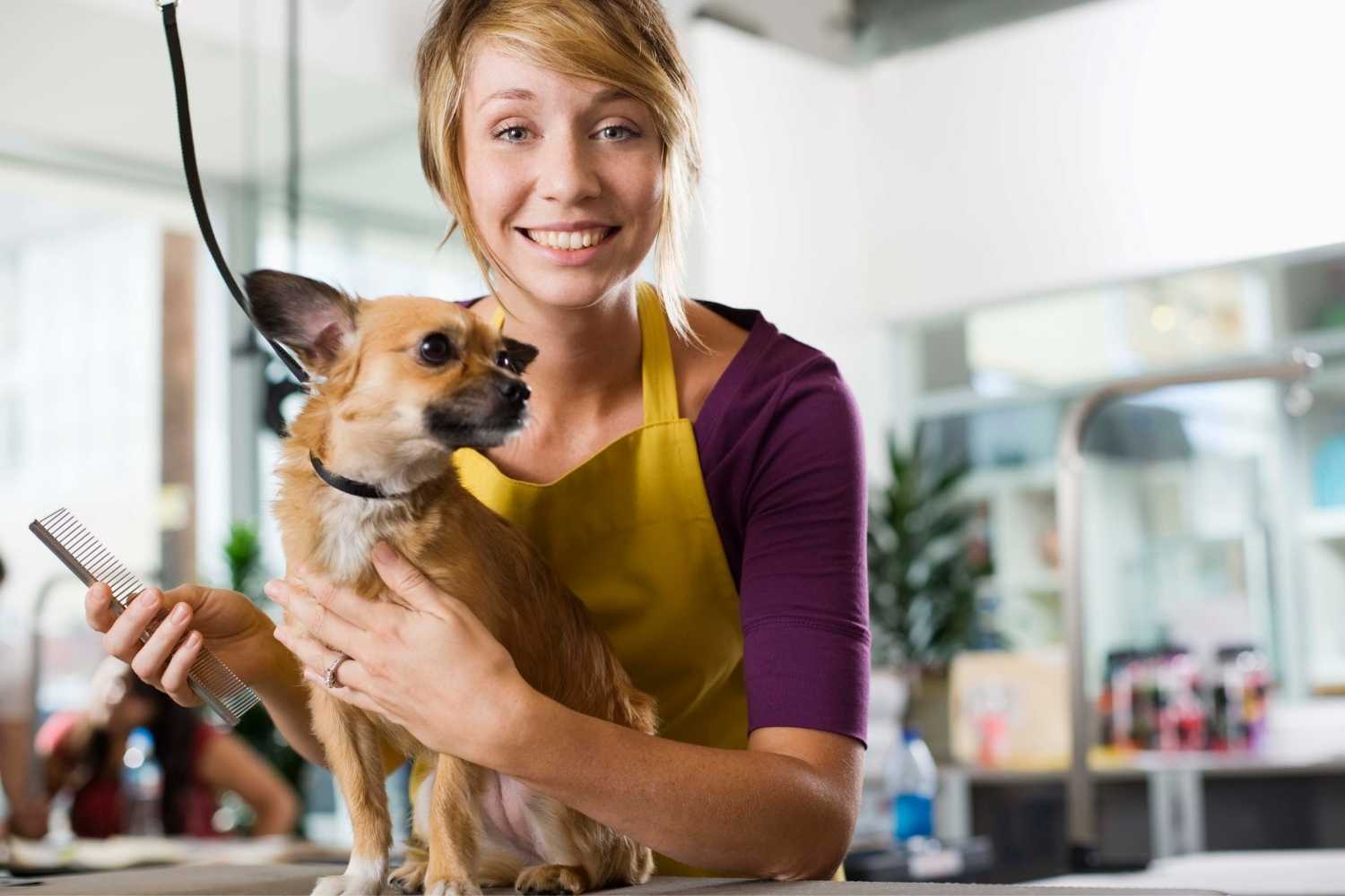 Pet Groomer Appreciation Day