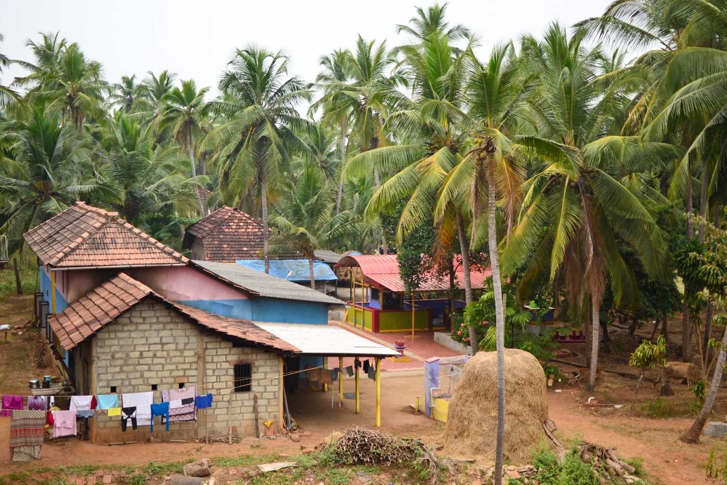 Rural Health Day