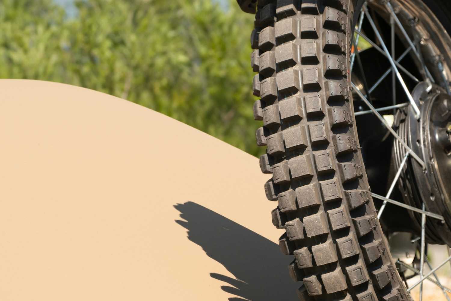 Global Fat Bike Day