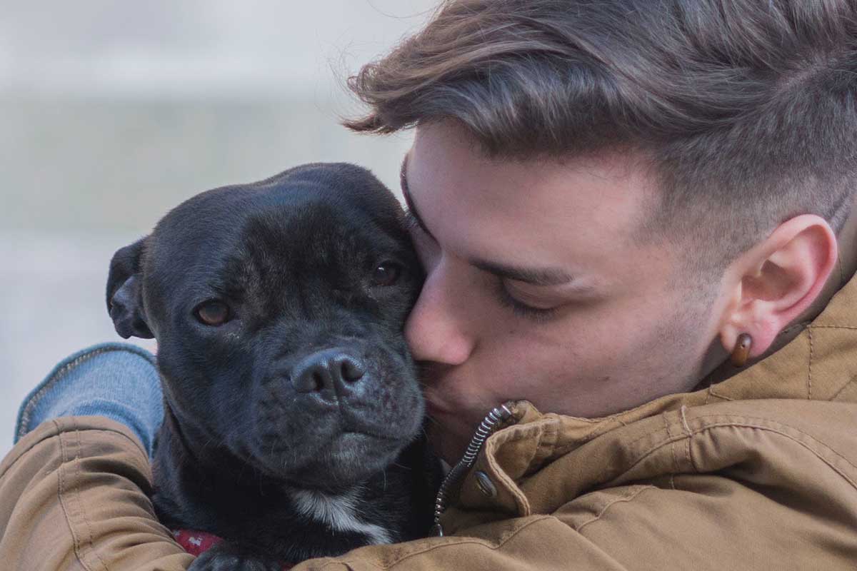 Love Your Pet Day