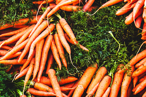 Carrot Day