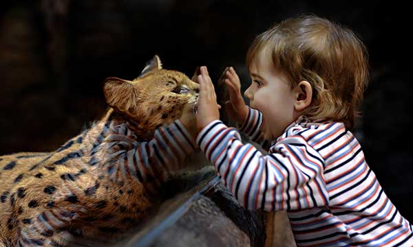 Kid at the zoo
