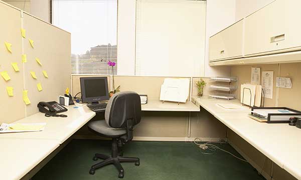 Cubicle Day