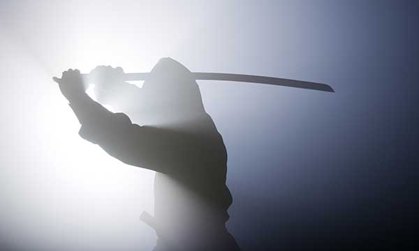 Ninja Day