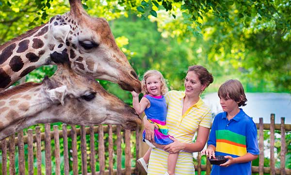 Visit the zoo day