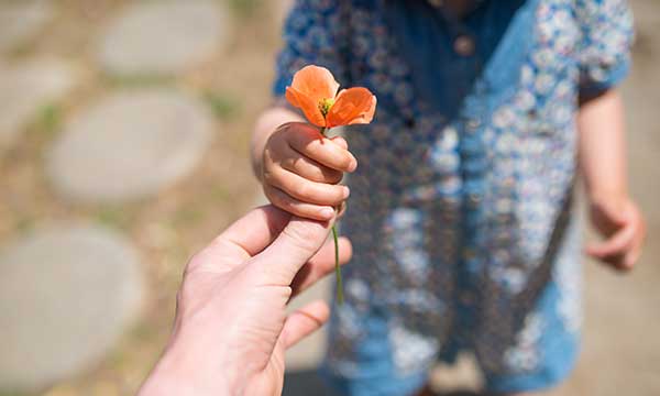 Random Acts of Kindness Day