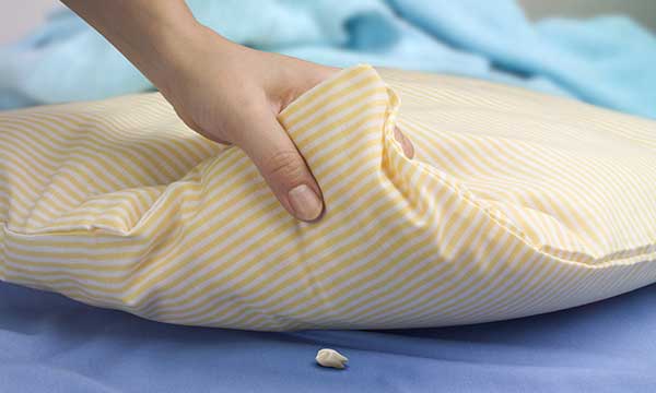 Tooth Fairy Day