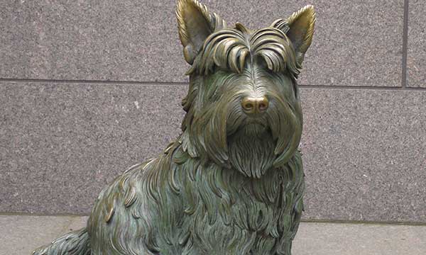 Dog Memorial