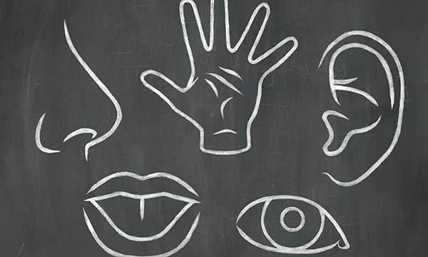 Celebration Of The Senses Day