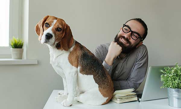 Take your Dog to Work Day