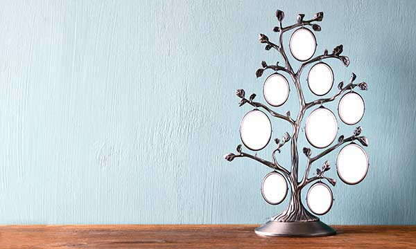family tree