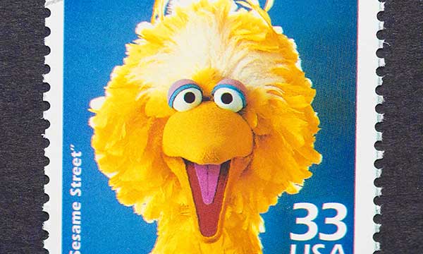 Big bird