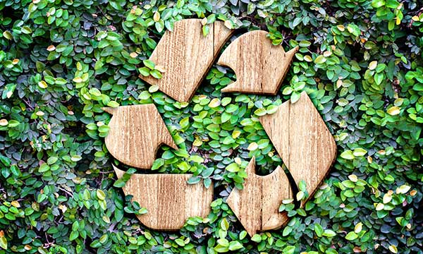 Recycling Day