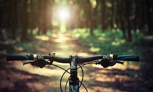 Go For A Ride Day Holiday Smart Go For A Ride Day Holiday Smart