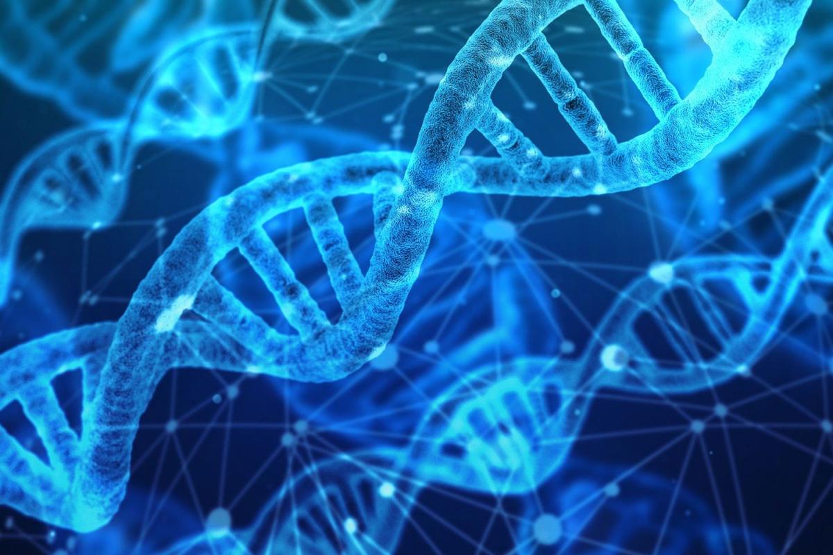 DNA Day