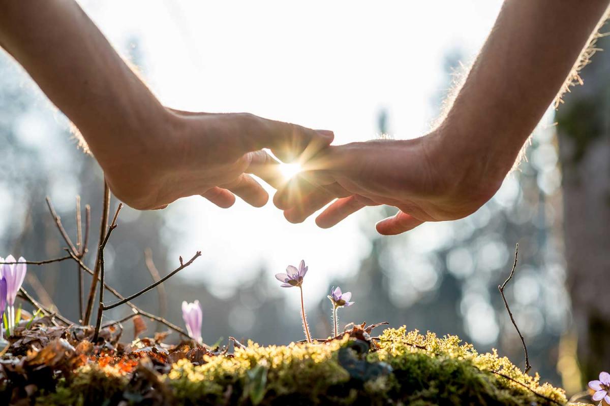 Random Acts of Light Day