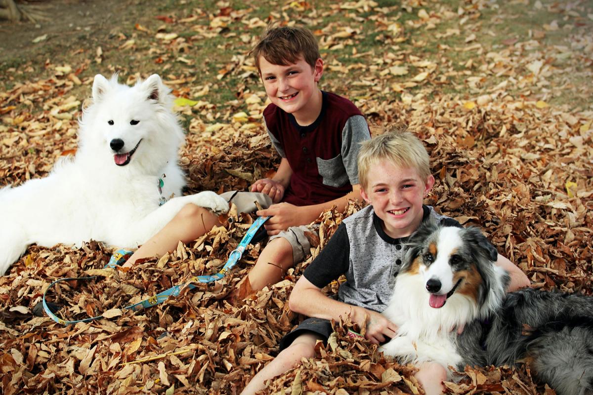 Kids and Pets Day