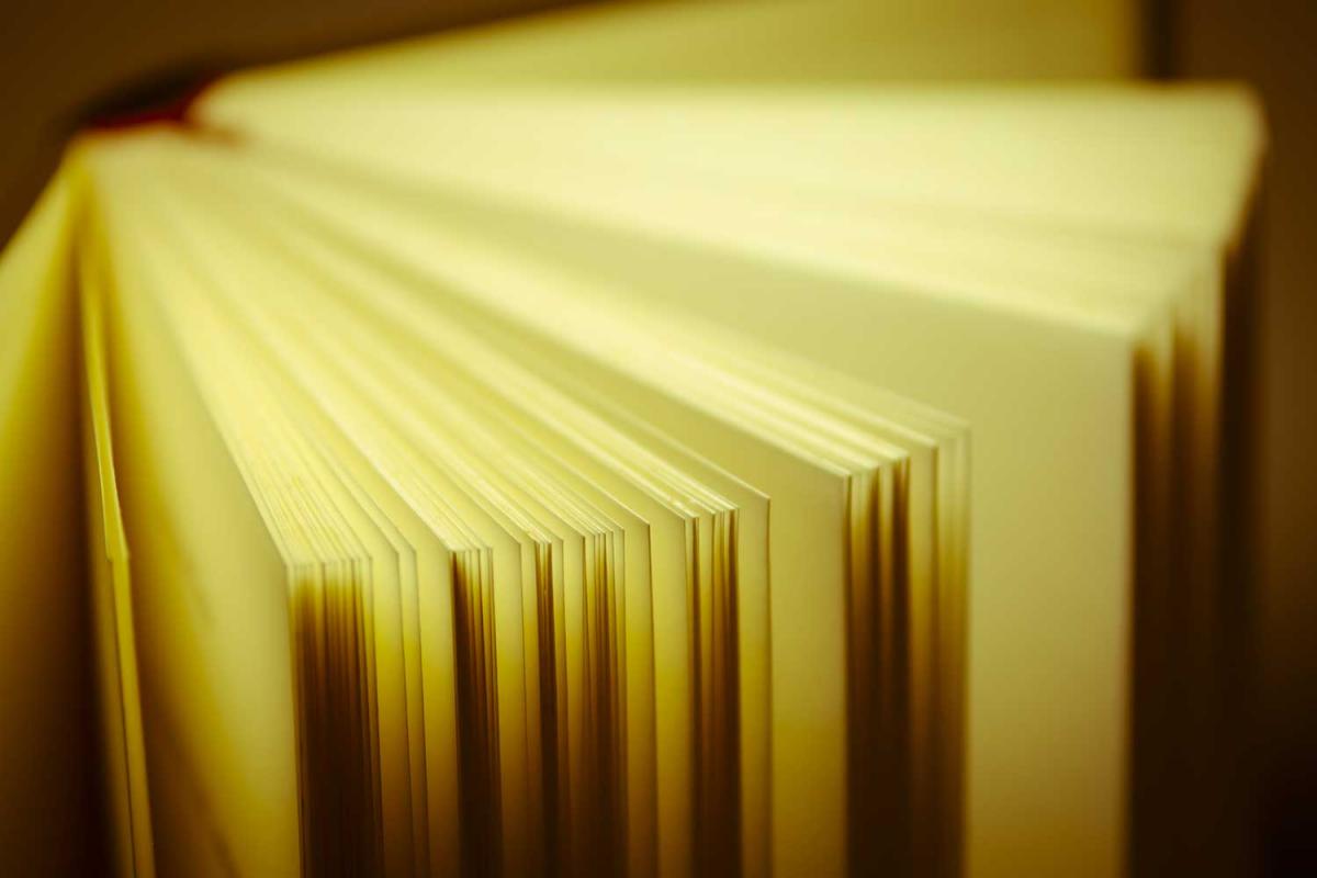 Make-A-Book Day