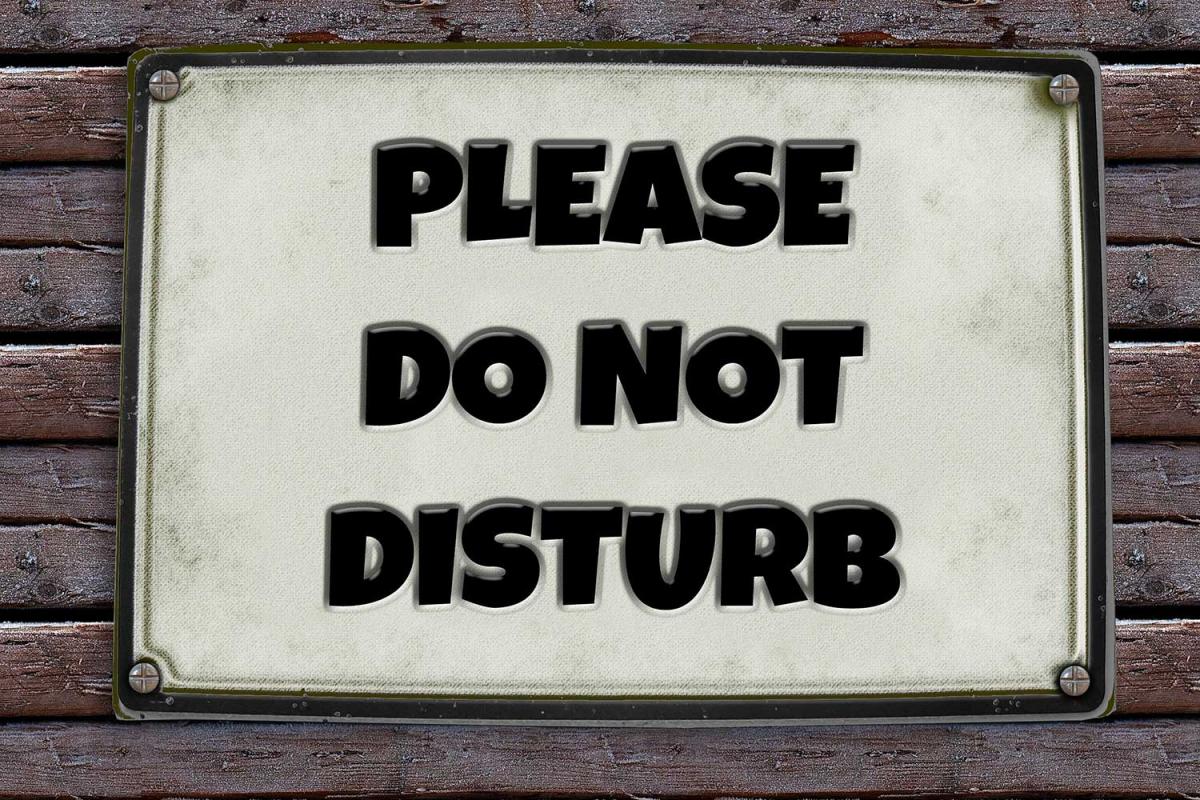 No Interruptions Day
