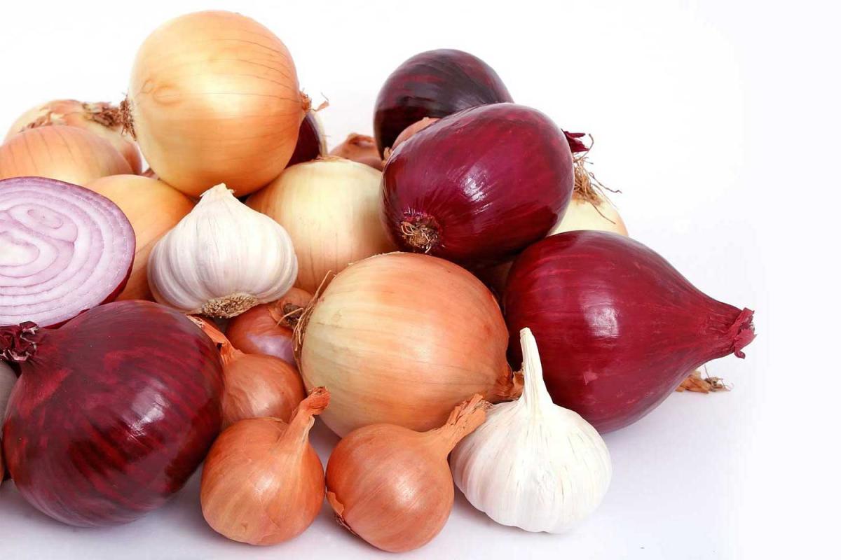 National Onion Day