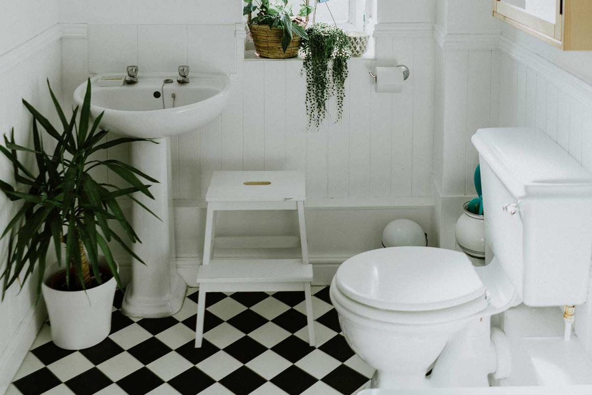 World Toilet Day