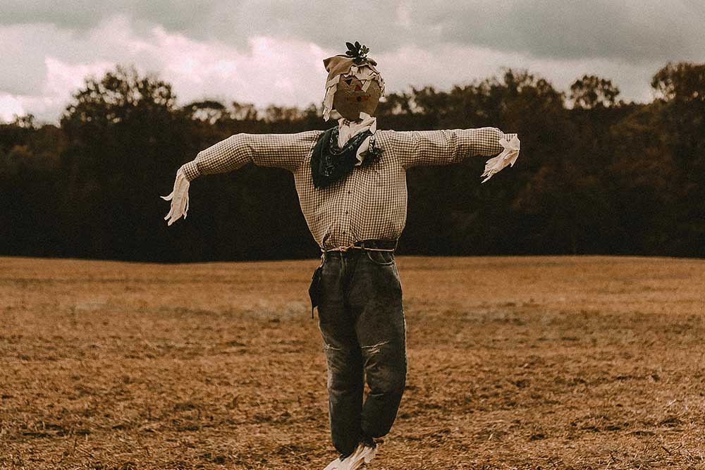 Build a Scarecrow Day