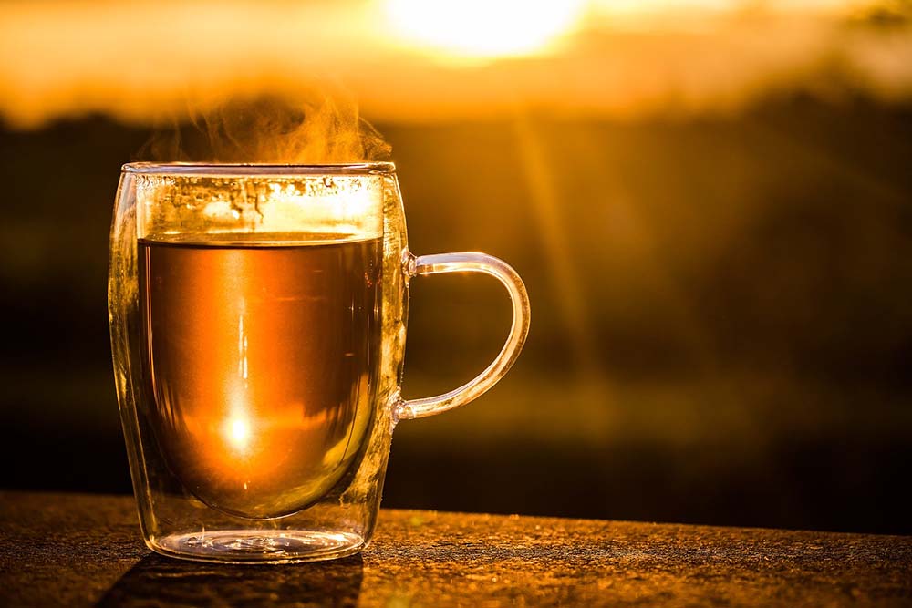 Hot Toddy Day