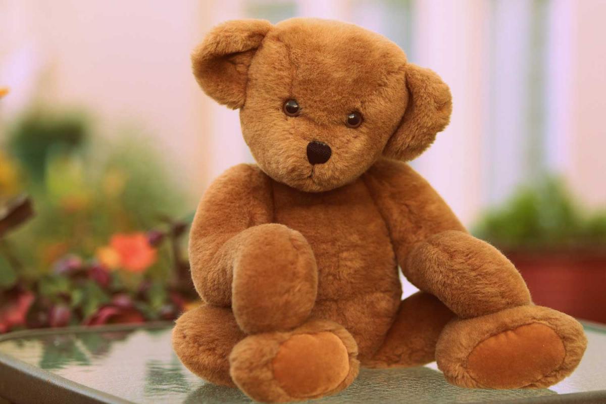 world teddy bear day