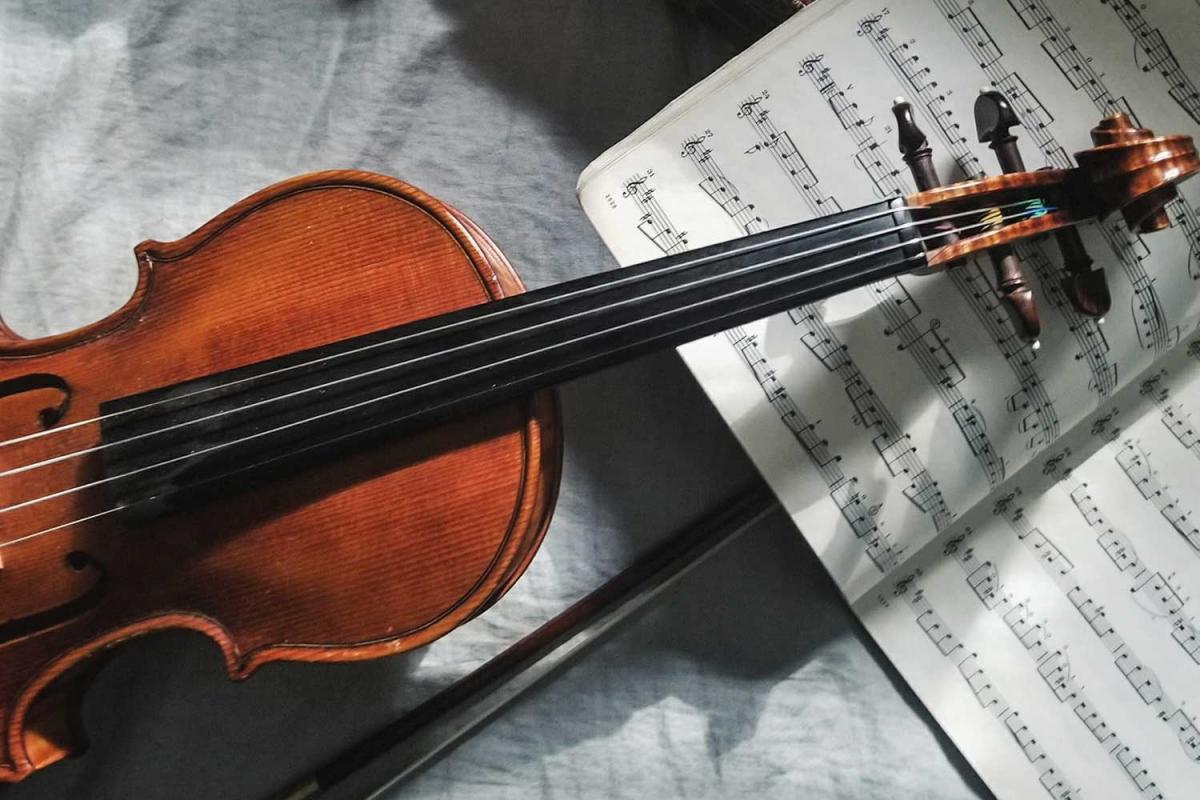 Violin Day