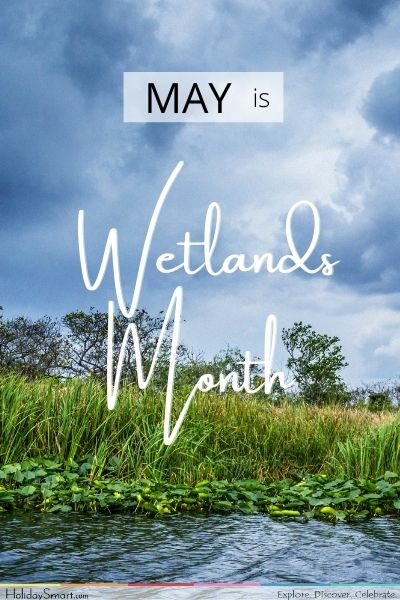 Landforms Holidays - Wetlands Month
