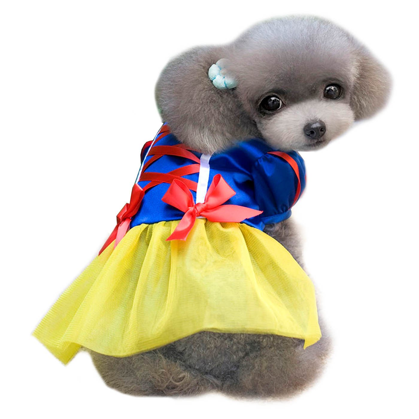 Snow White Costume