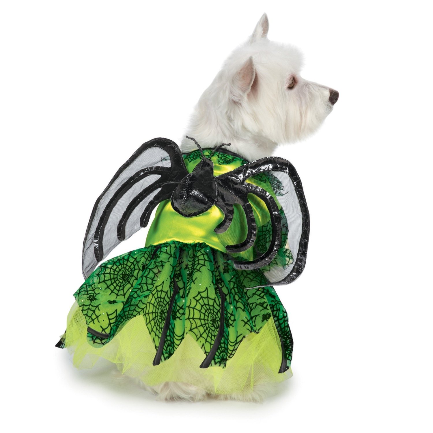 Spider Princess Costume