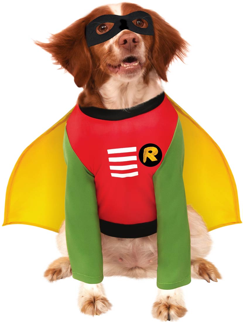 Robin dog costume