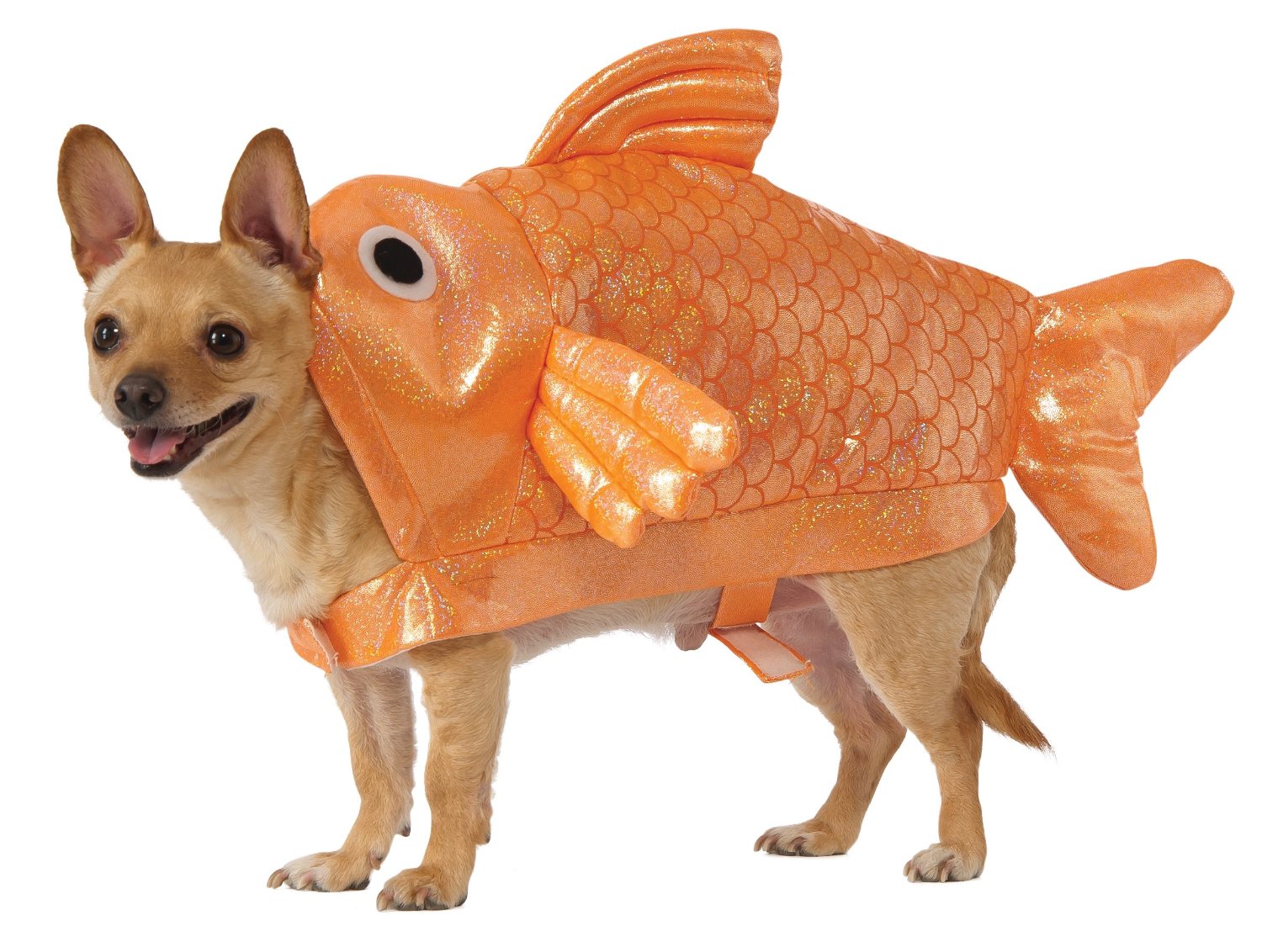 goldfish costume
