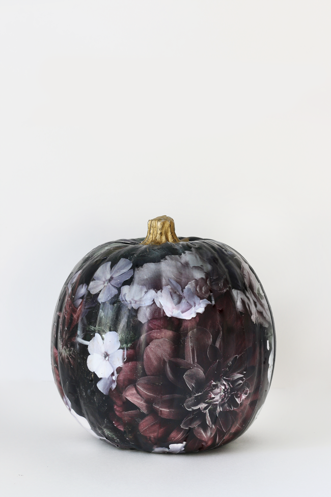 40 No Carve Pumpkin Ideas