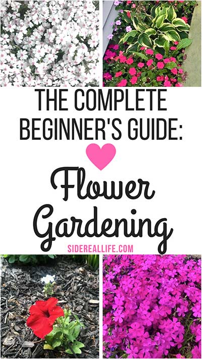 Plant a Flower Garden