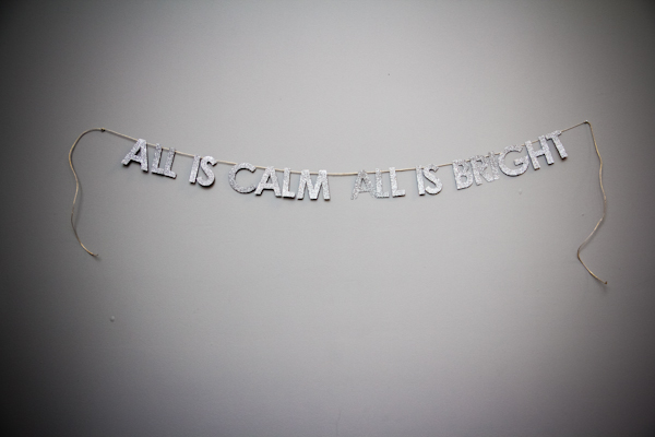 22 Festive DIY Christmas Garland