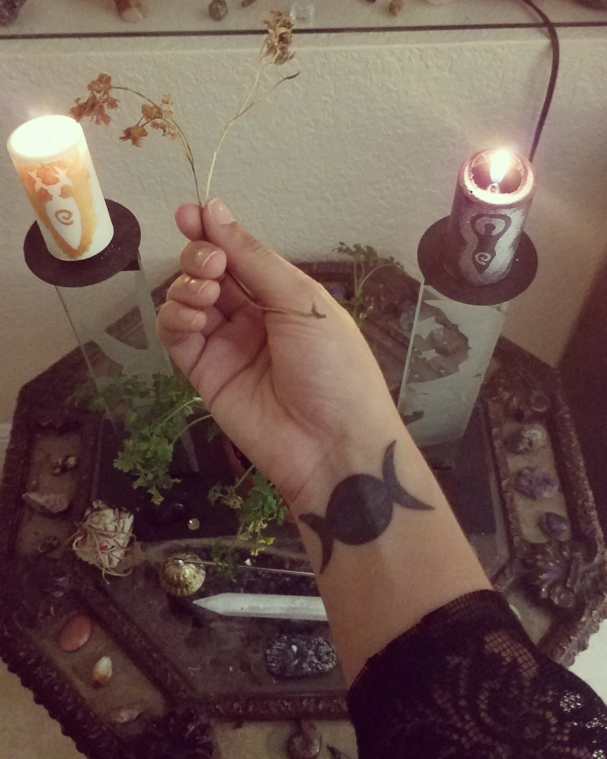 Sturgeon Moon Celebration