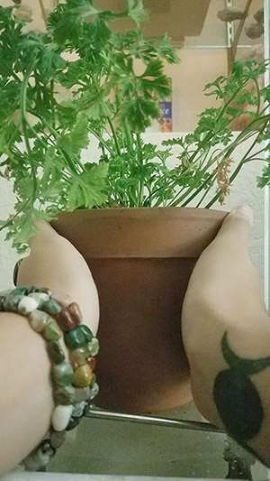 Sturgeon Moon Celebration