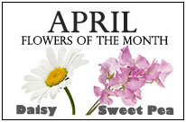 April Flowers