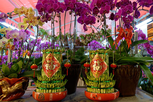Chinese New Year Guangzhou