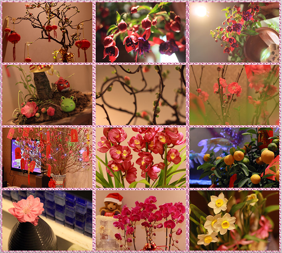 Chinese New Year Flowers