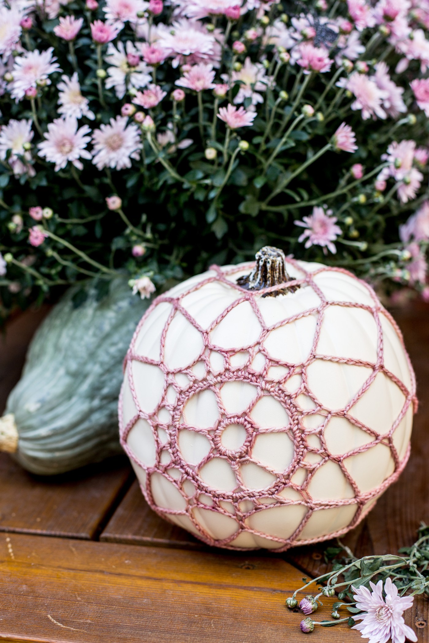 40 No Carve Pumpkin Ideas