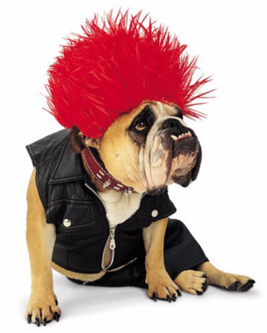 Punk Rock Costume