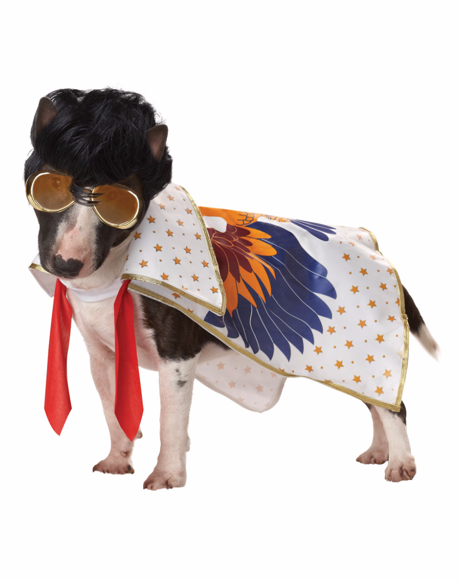 Elvis costume