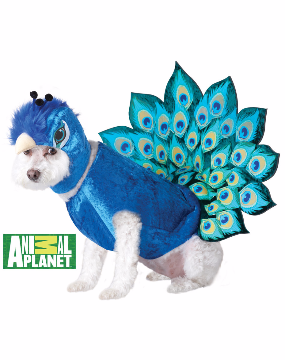 Peacock Costume