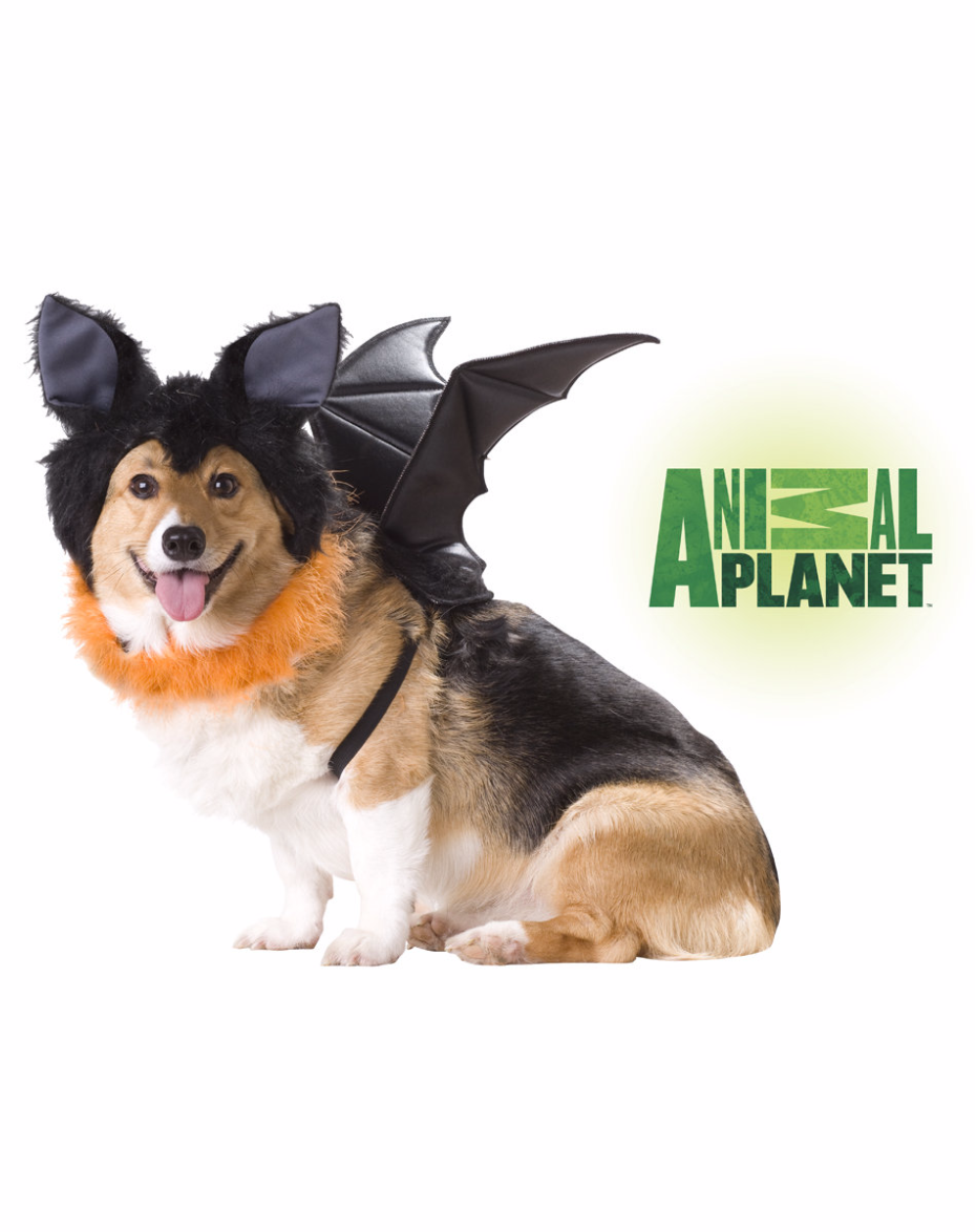 Bat Costume